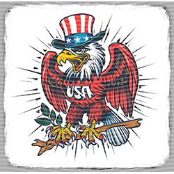 USA-MG 3673